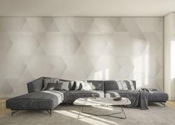 Grey Hexagonal Art mockup 0