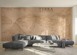 Brown Pink Map mockup 0