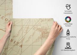 Ancient Cream Map mockup 2