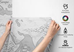 Light Grey Map mockup 2