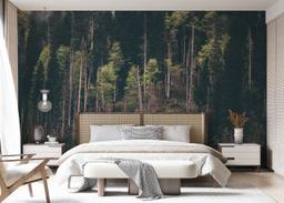 Dark Mountain Forests mockup 7