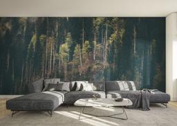 Dark Mountain Forests mockup 0