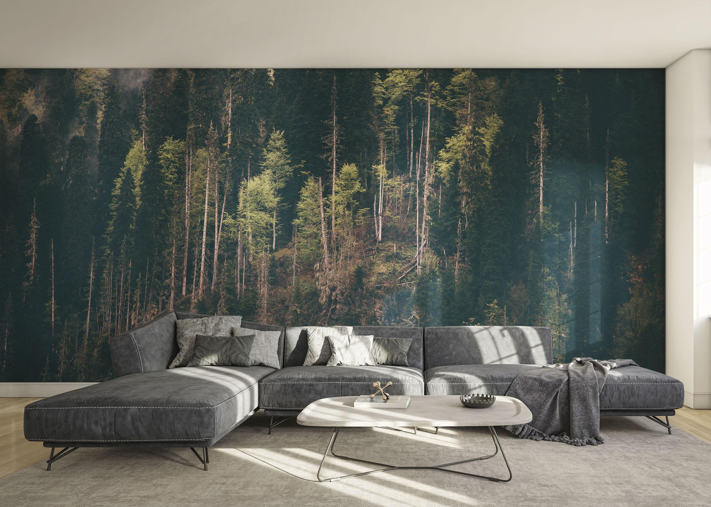 Fototapete Dark Mountain Forests mockup 0