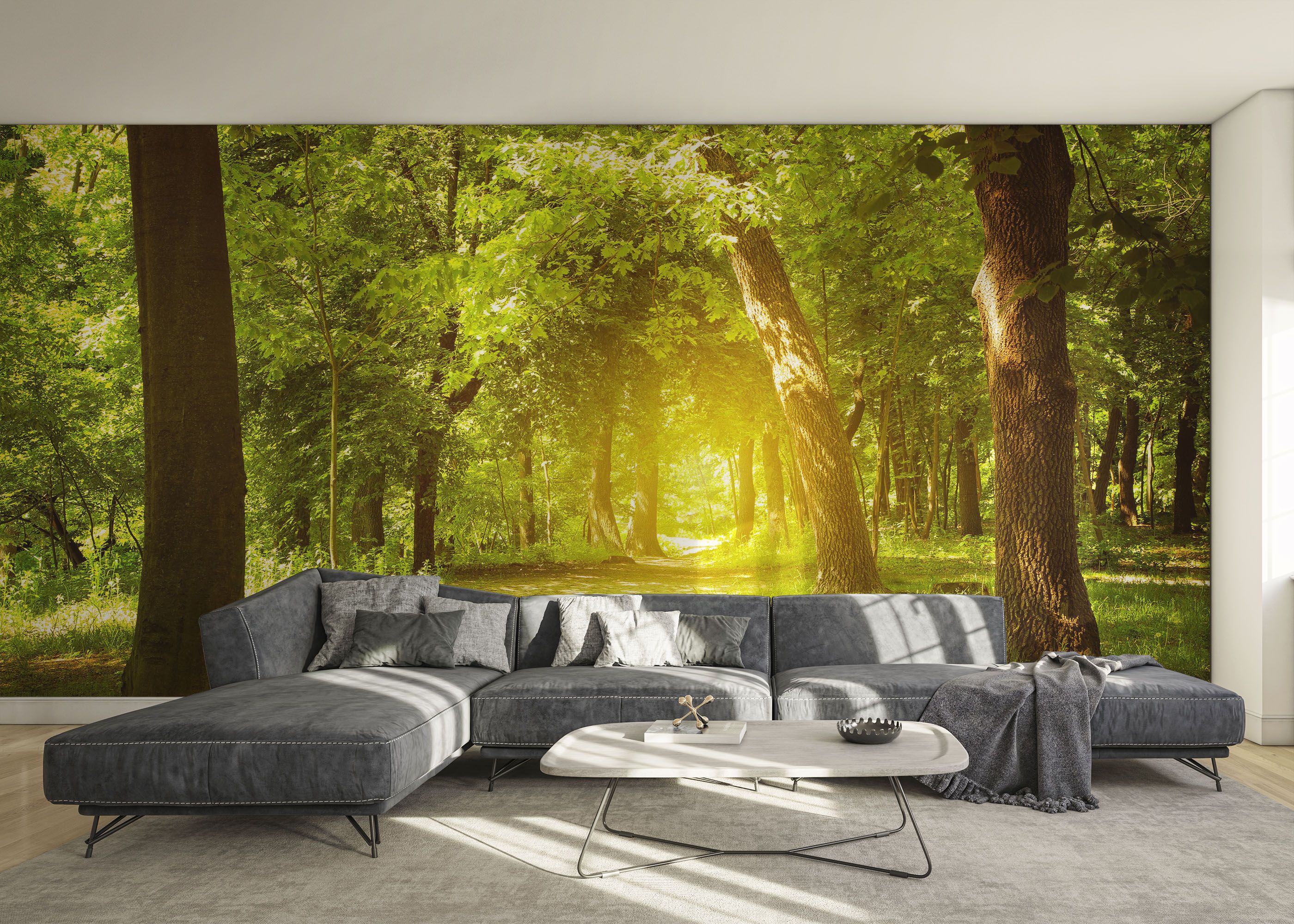 Forest Road mockup 0