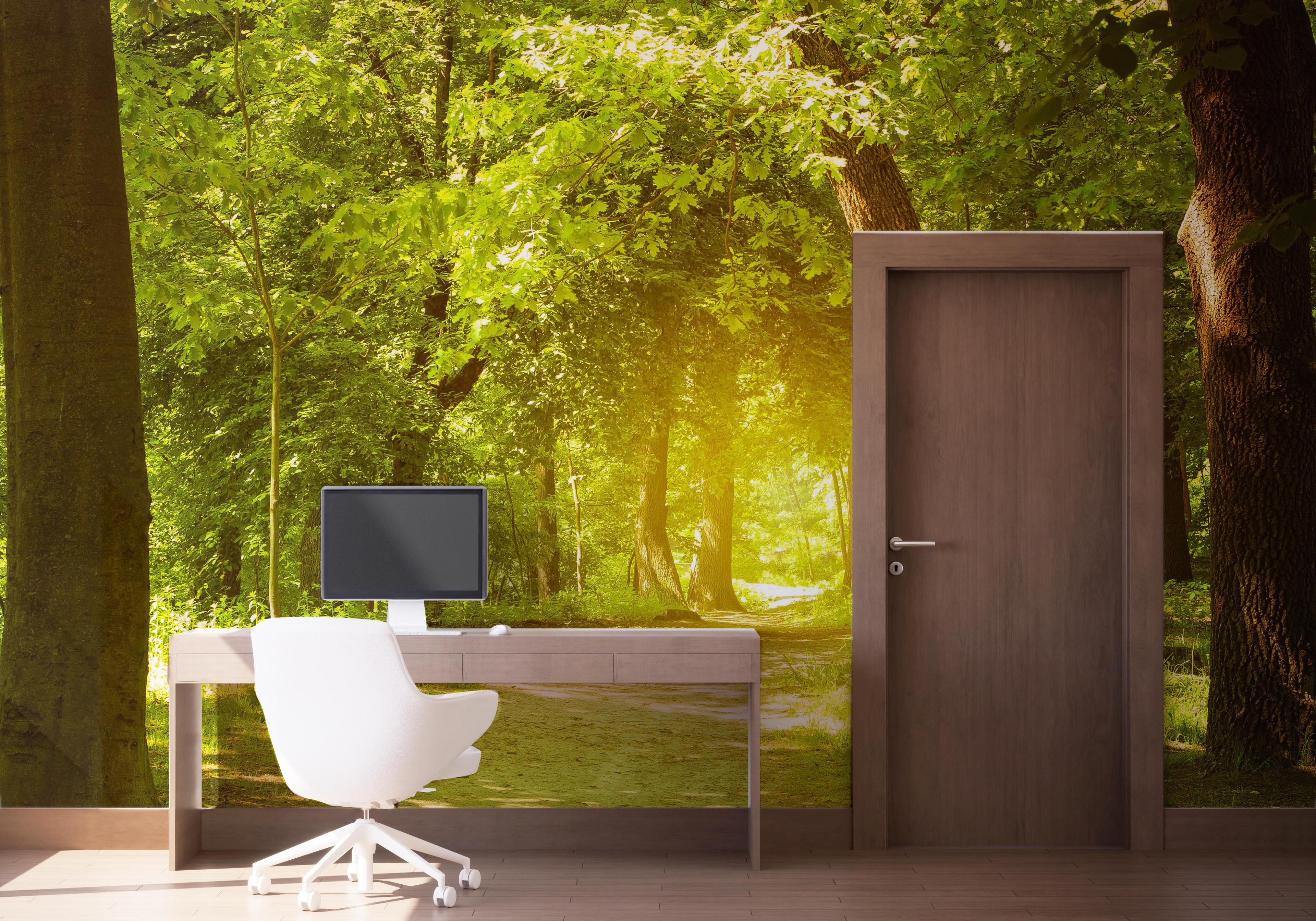 Fototapete Forest Road mockup 1