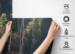 Dark Mountain Forests mockup 2