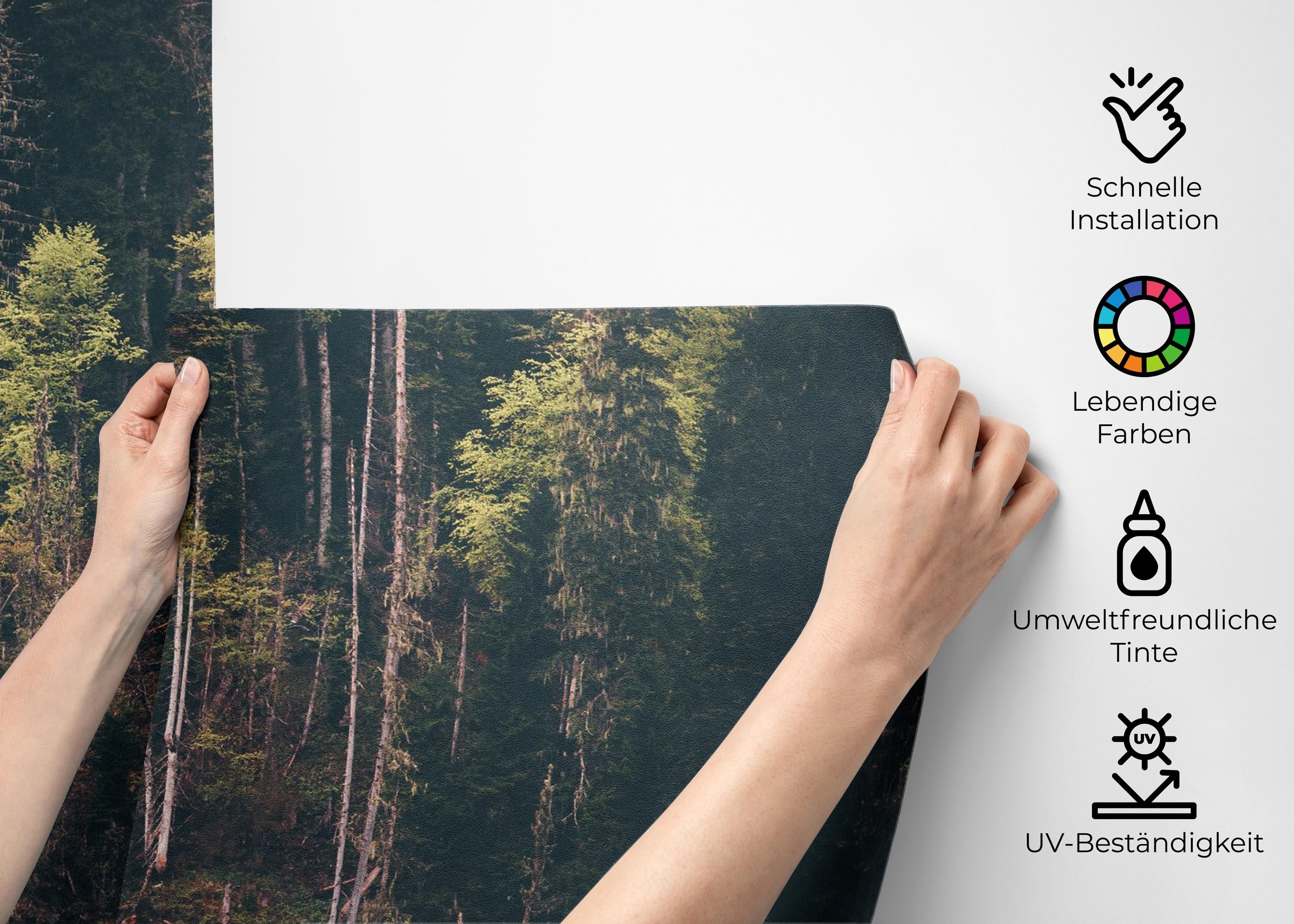 Dark Mountain Forests mockup 2