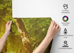 Forest Road mockup 2