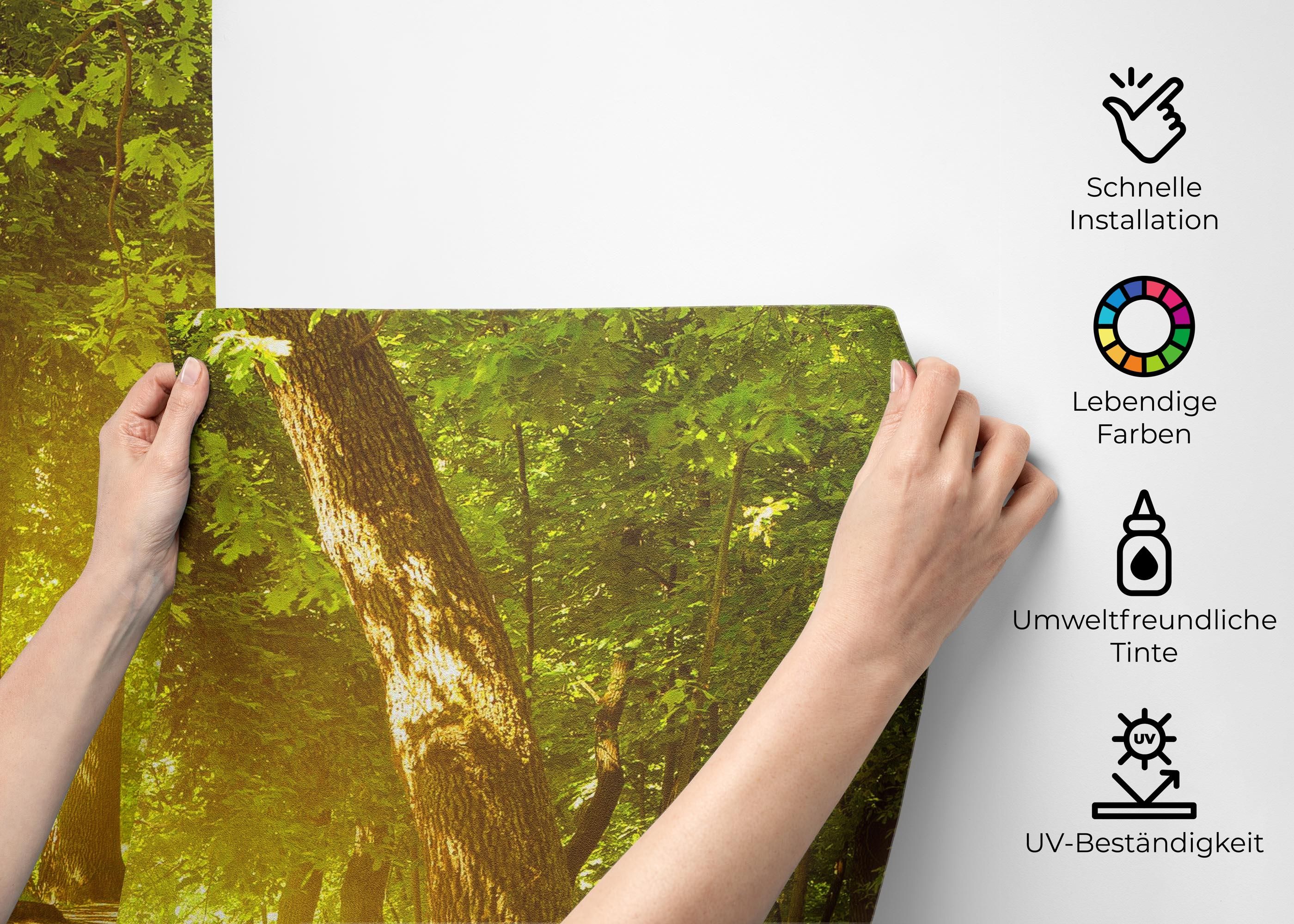 Forest Road mockup 2