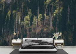 Dark Mountain Forests mockup 3