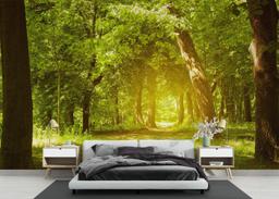 Forest Road mockup 3