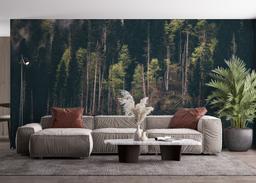 Dark Mountain Forests mockup 4