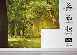Forest Road mockup 5