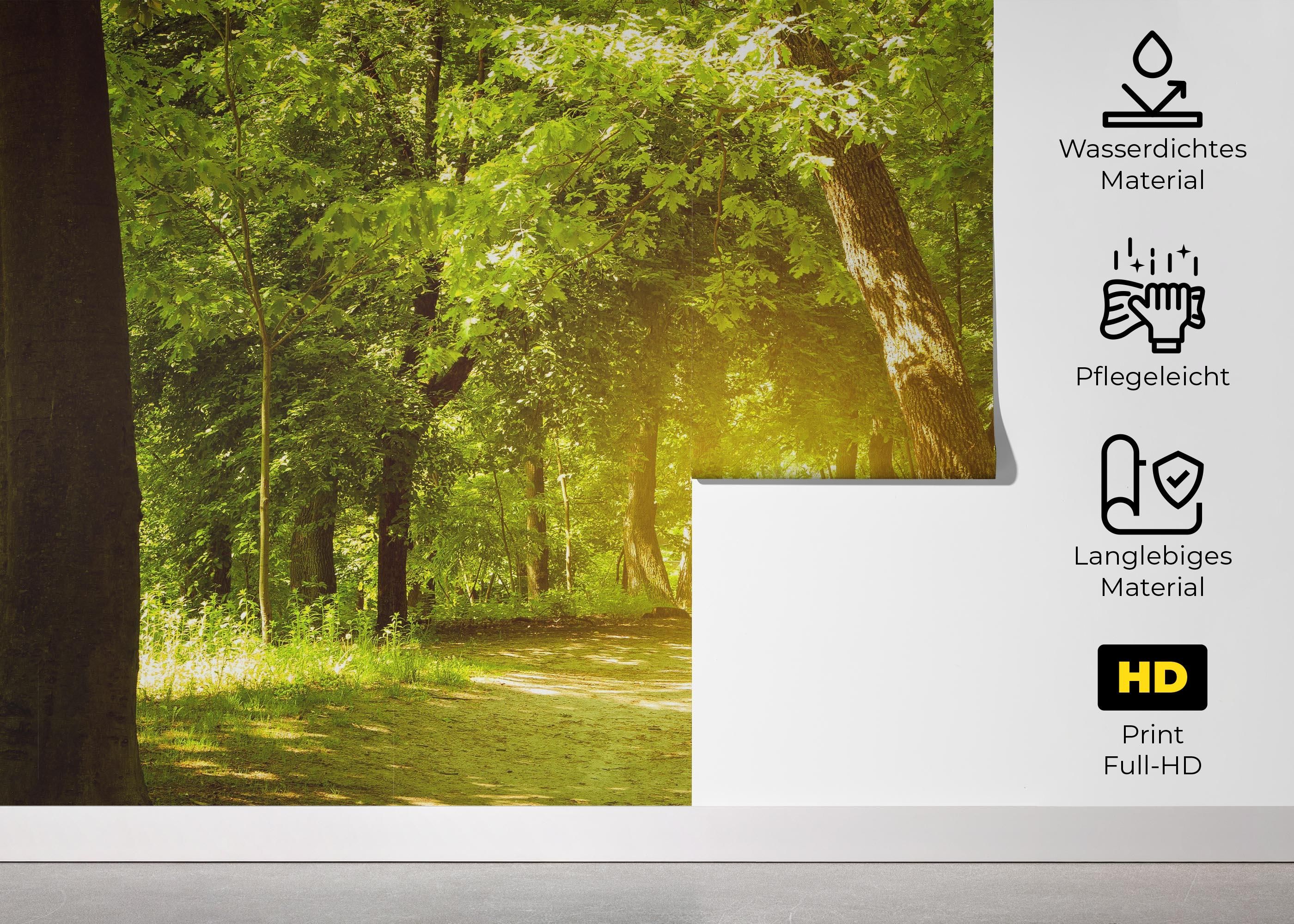 Forest Road mockup 5