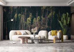 Dark Mountain Forests mockup 6