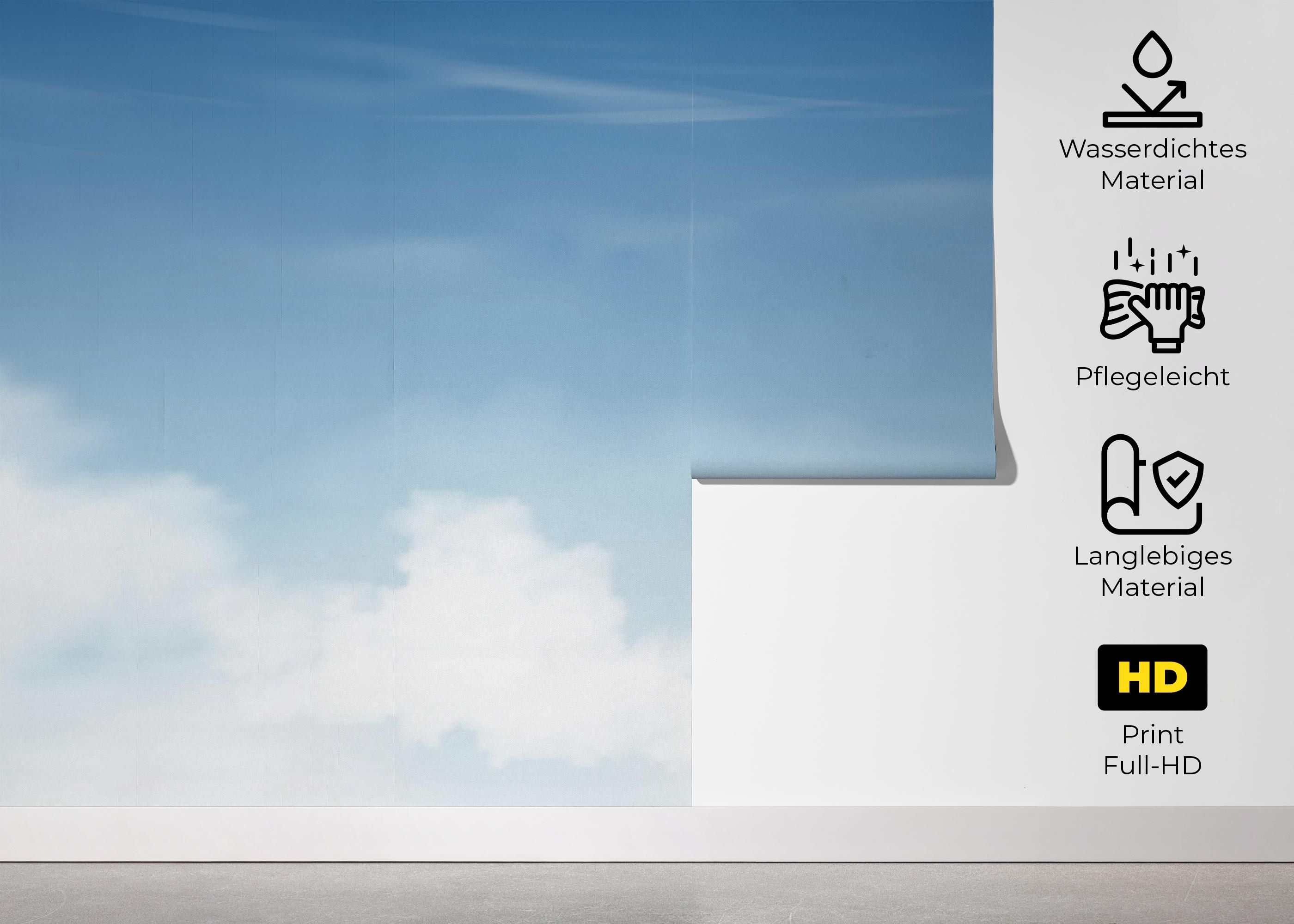 Light Blue Sky mockup 5