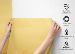 Cream Sunset Desert mockup 2