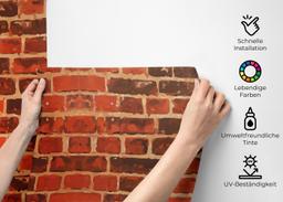 Cool Orange Brick mockup 2