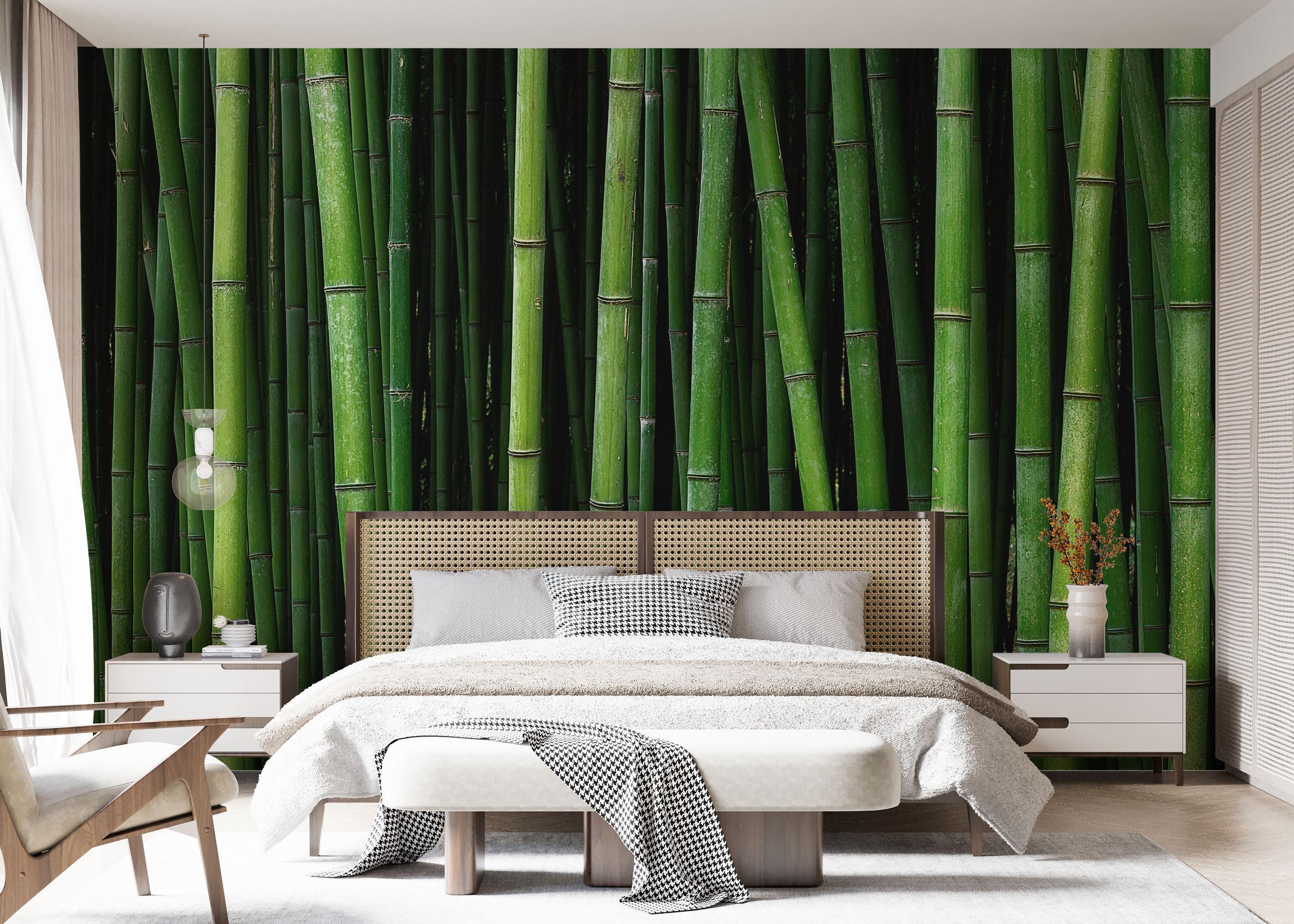 Fototapete Green Bamboo mockup 7