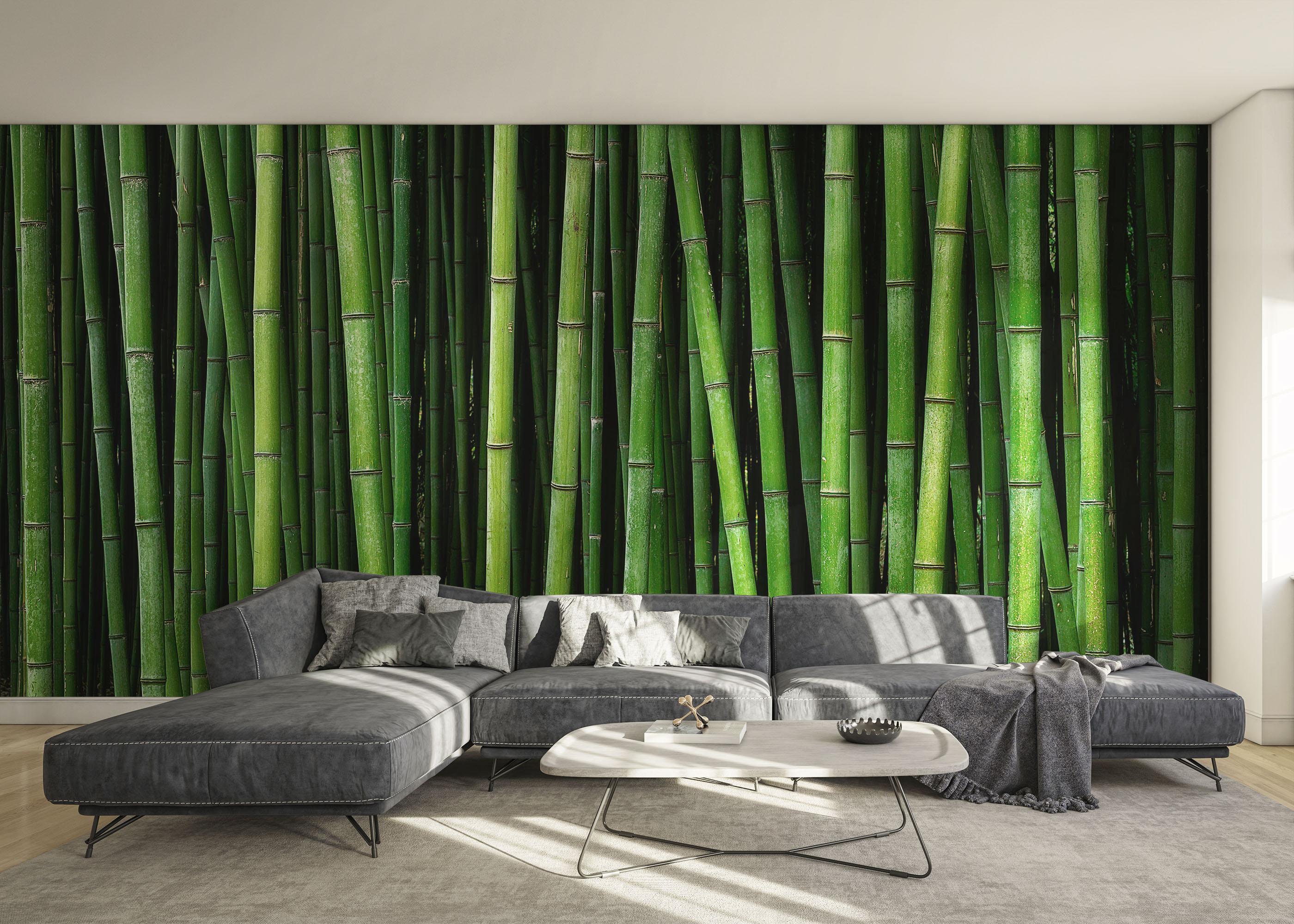Fototapete Green Bamboo mockup 0