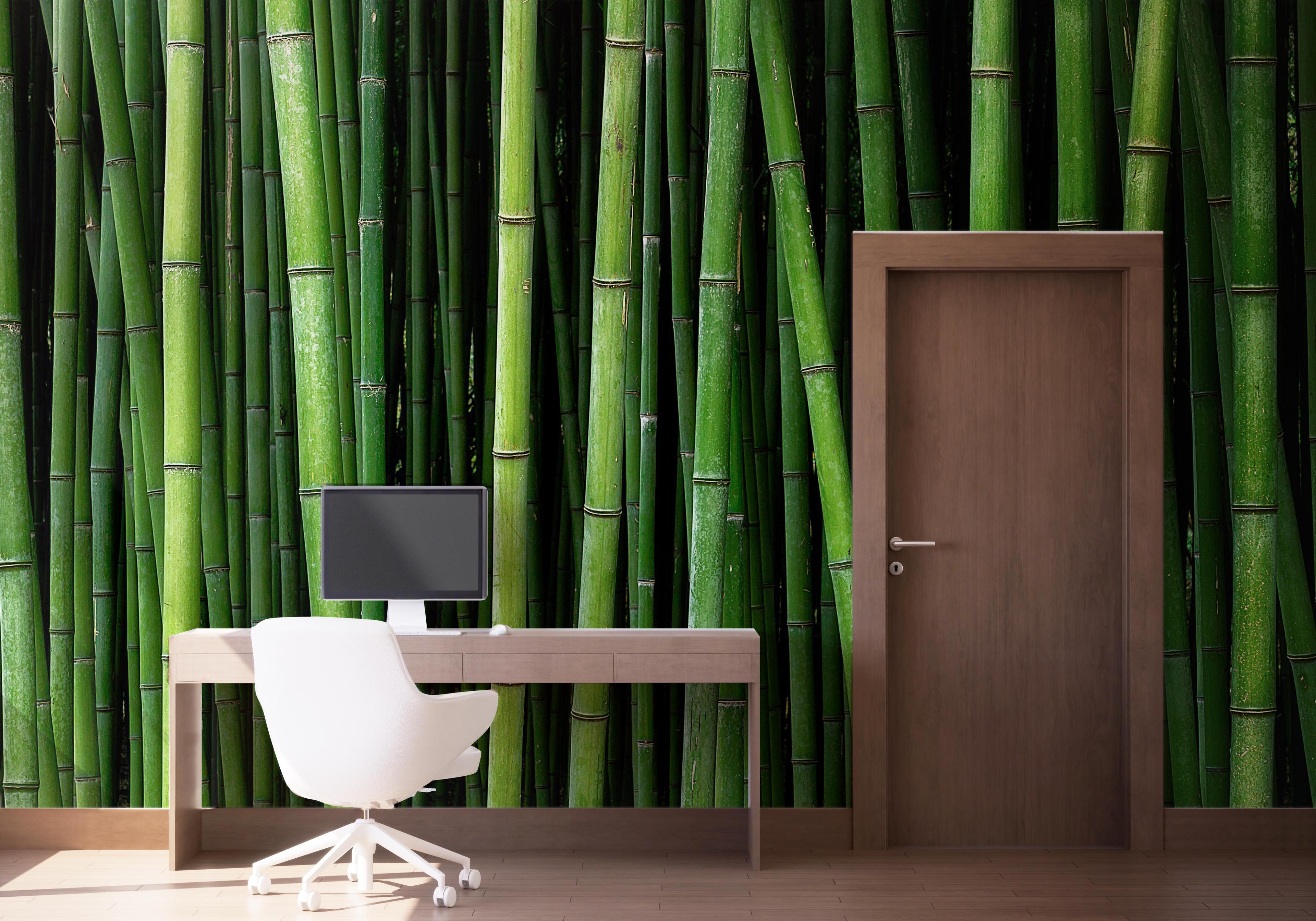 Fototapete Green Bamboo mockup 1