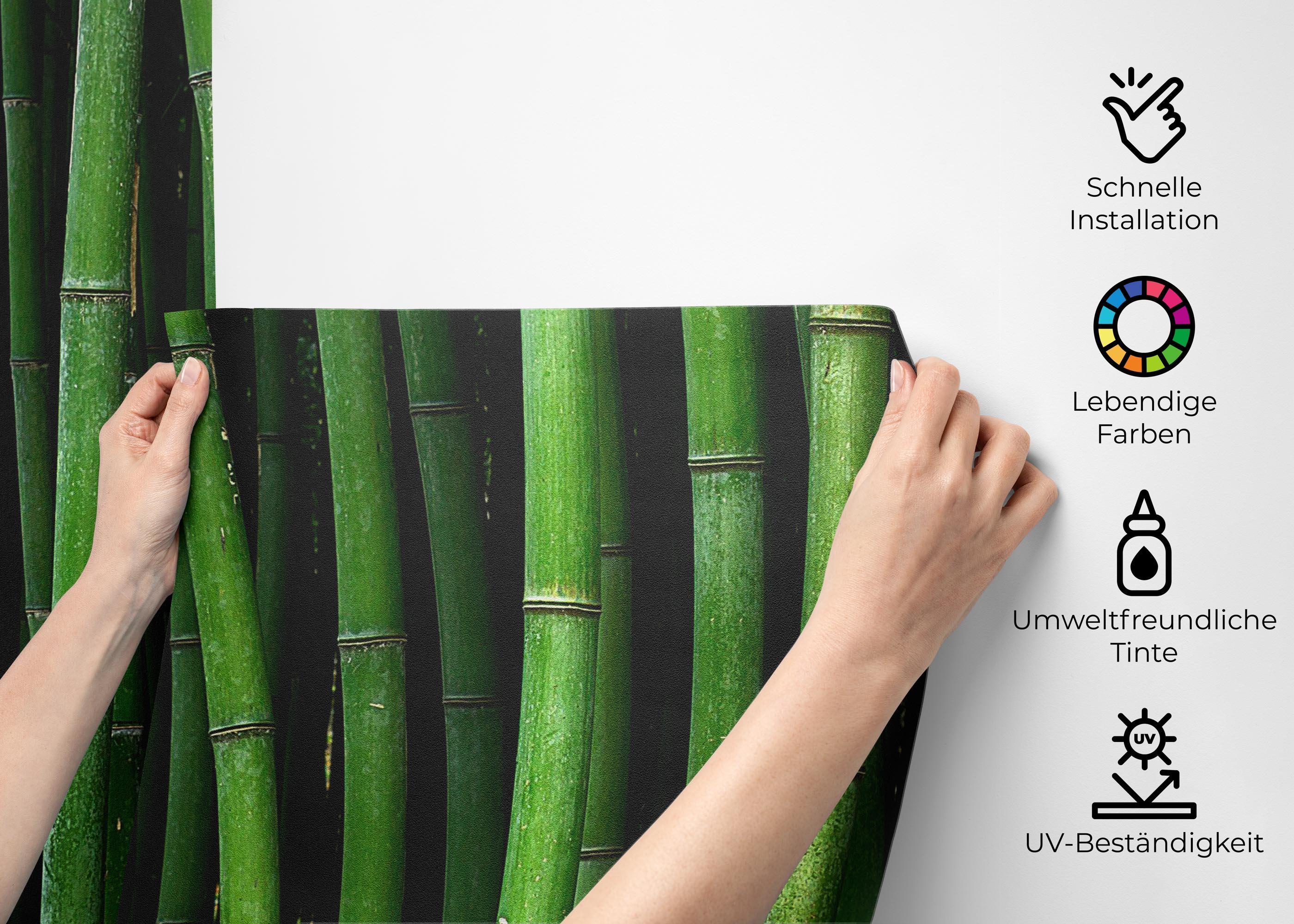 Fototapete Green Bamboo mockup 2