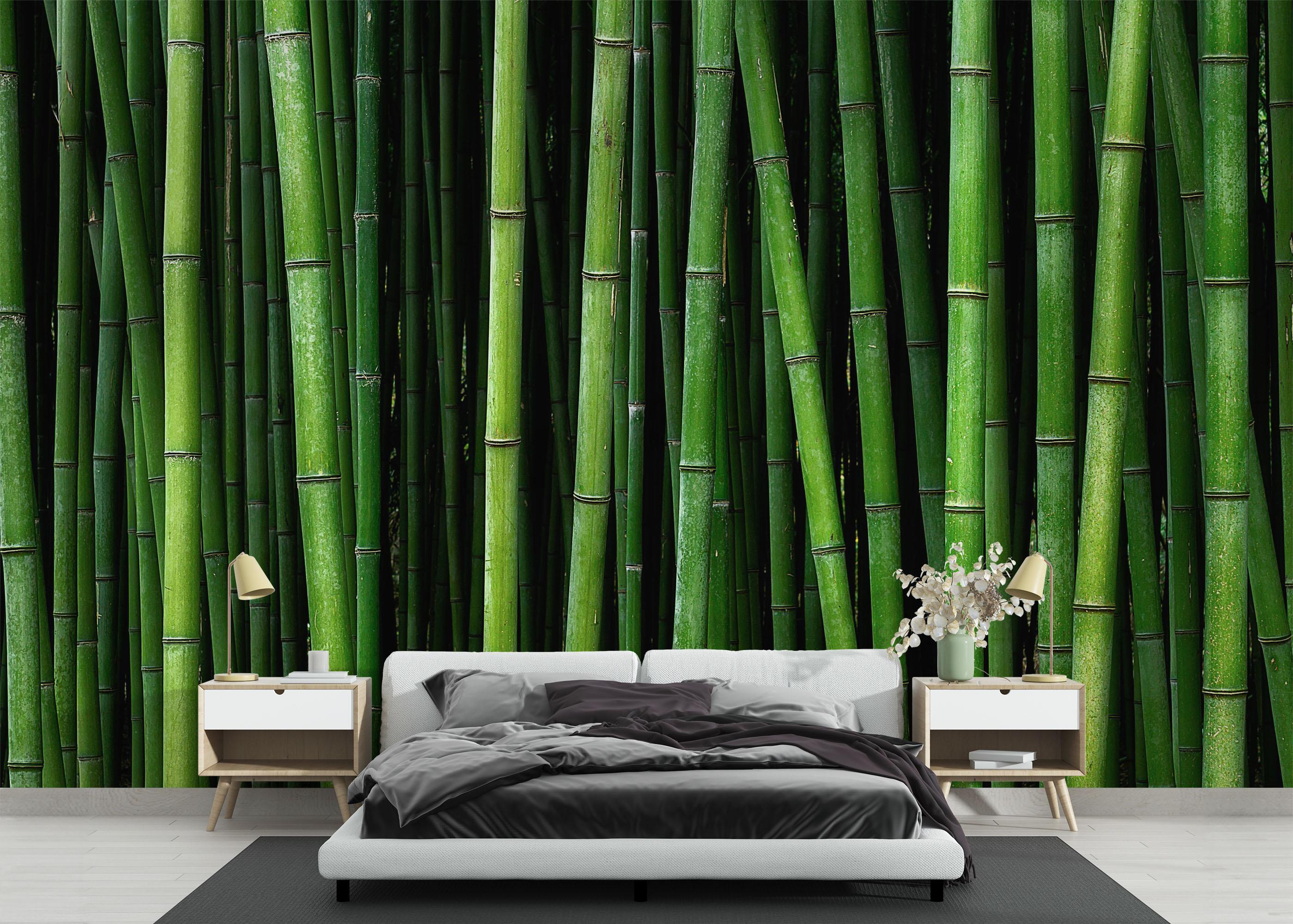 Fototapete Green Bamboo mockup 3