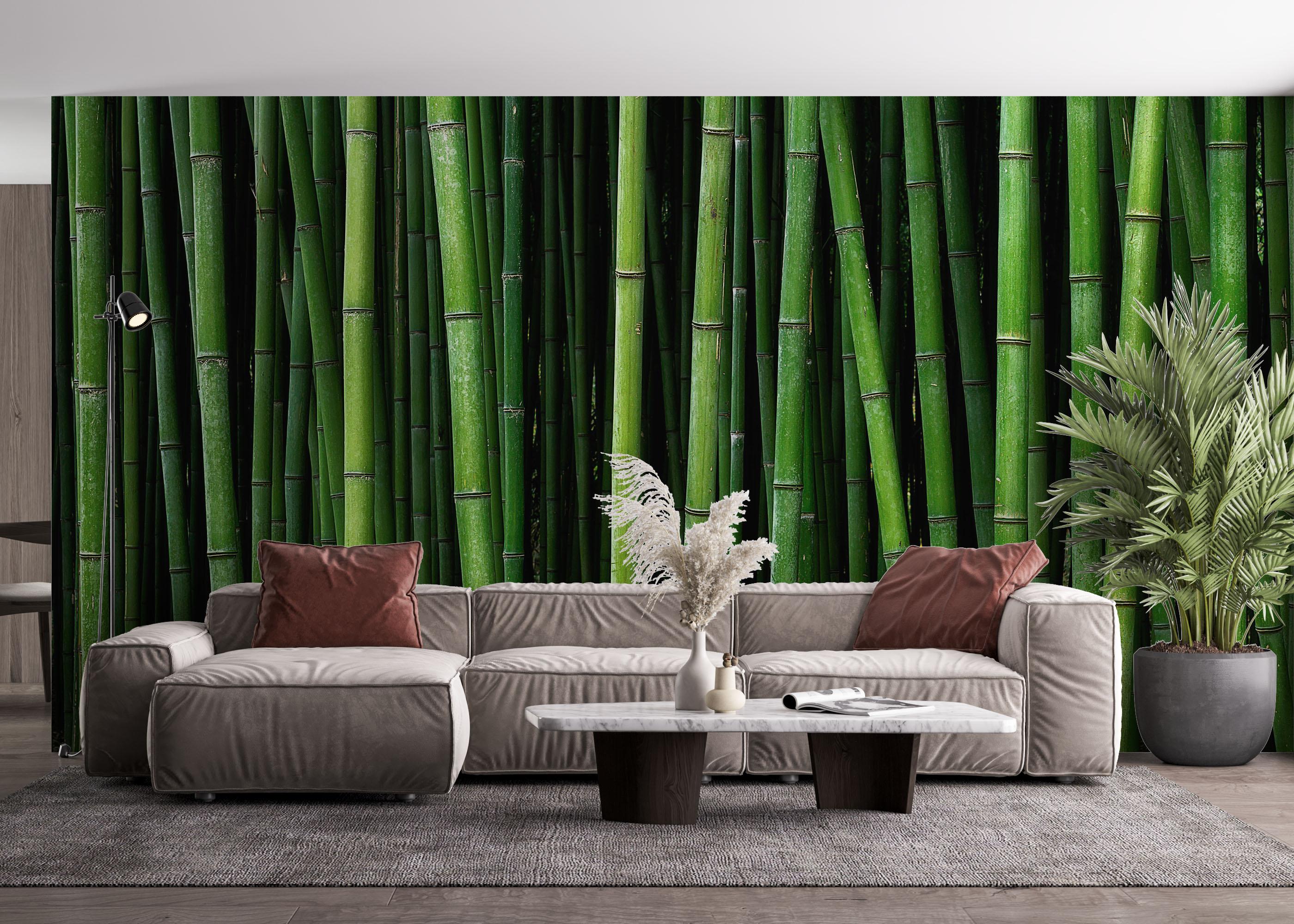 Fototapete Green Bamboo mockup 4