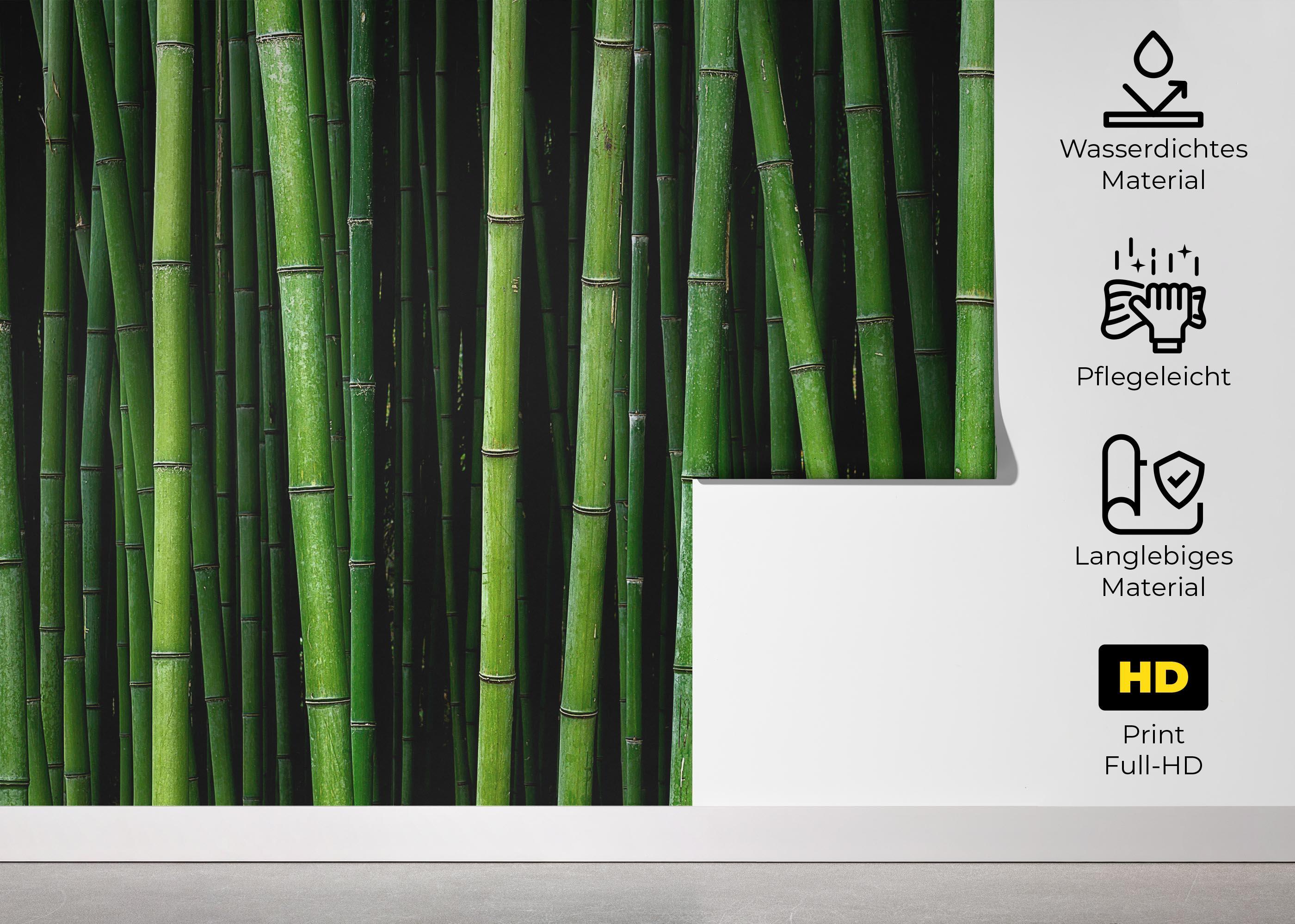 Fototapete Green Bamboo mockup 5