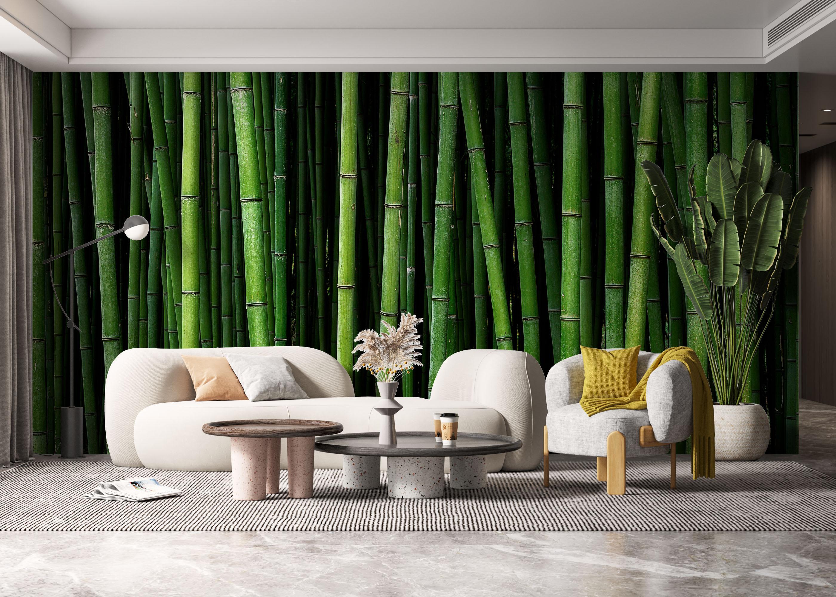 Fototapete Green Bamboo mockup 6