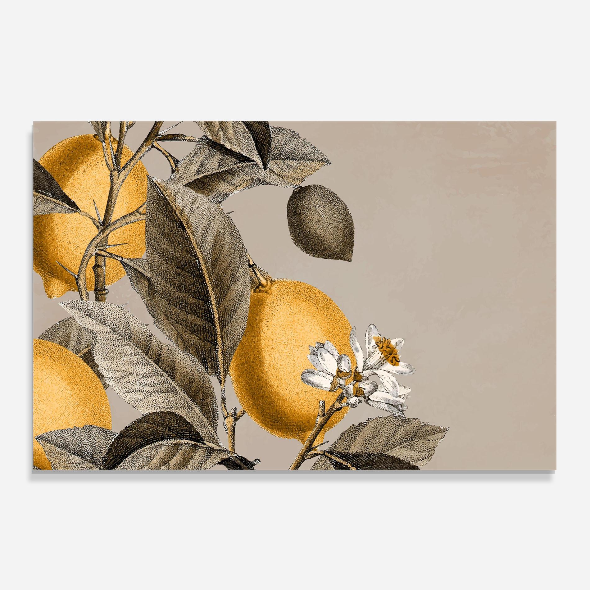 Küchenrückwand Glas Lime Tree mockup 0