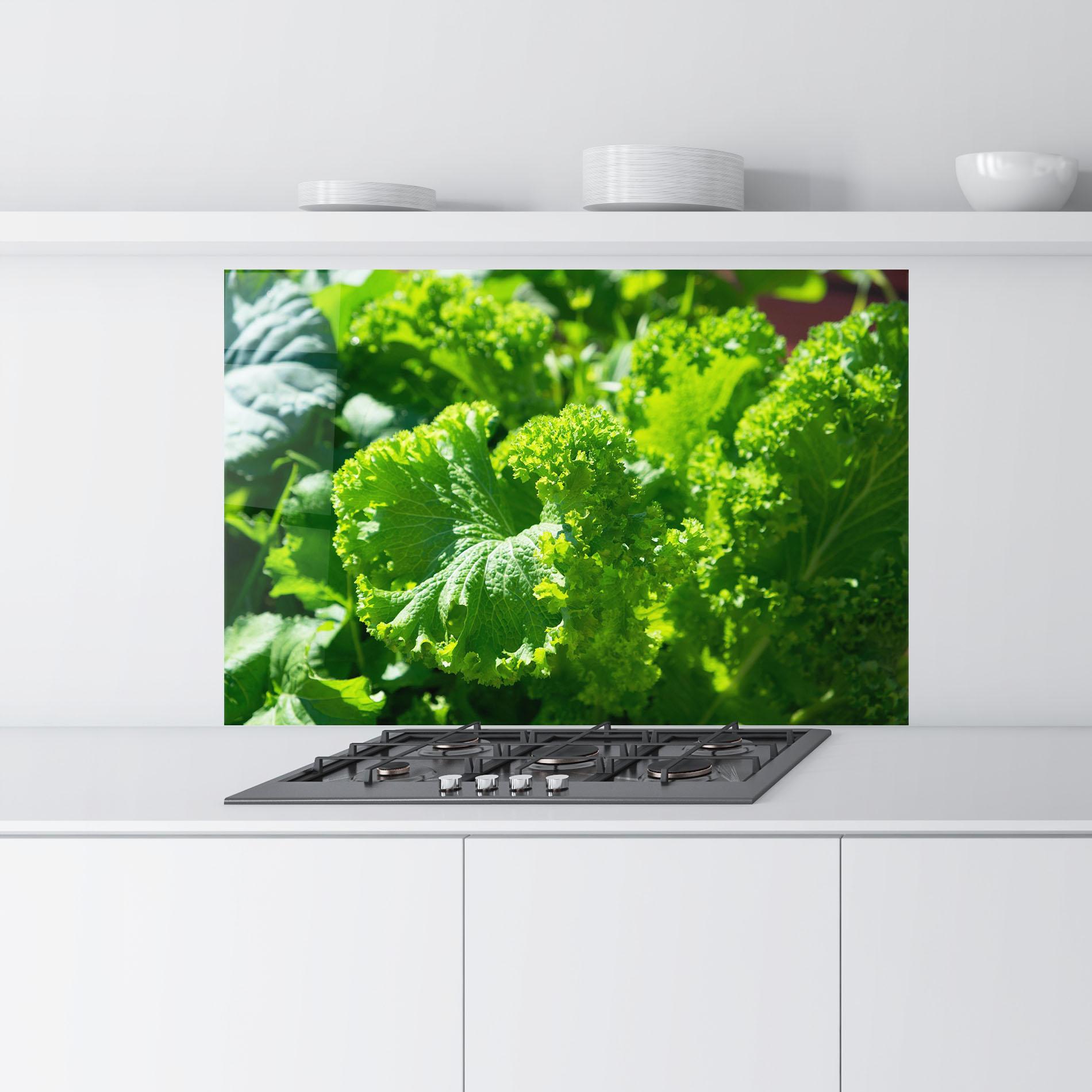 Küchenrückwand Glas Preetty Green Lettuce mockup 9