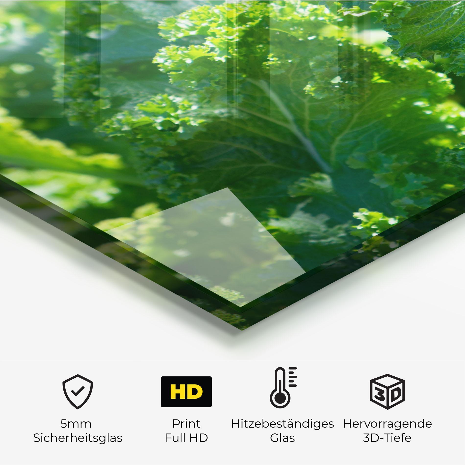 Küchenrückwand Glas Lettuce View mockup 2