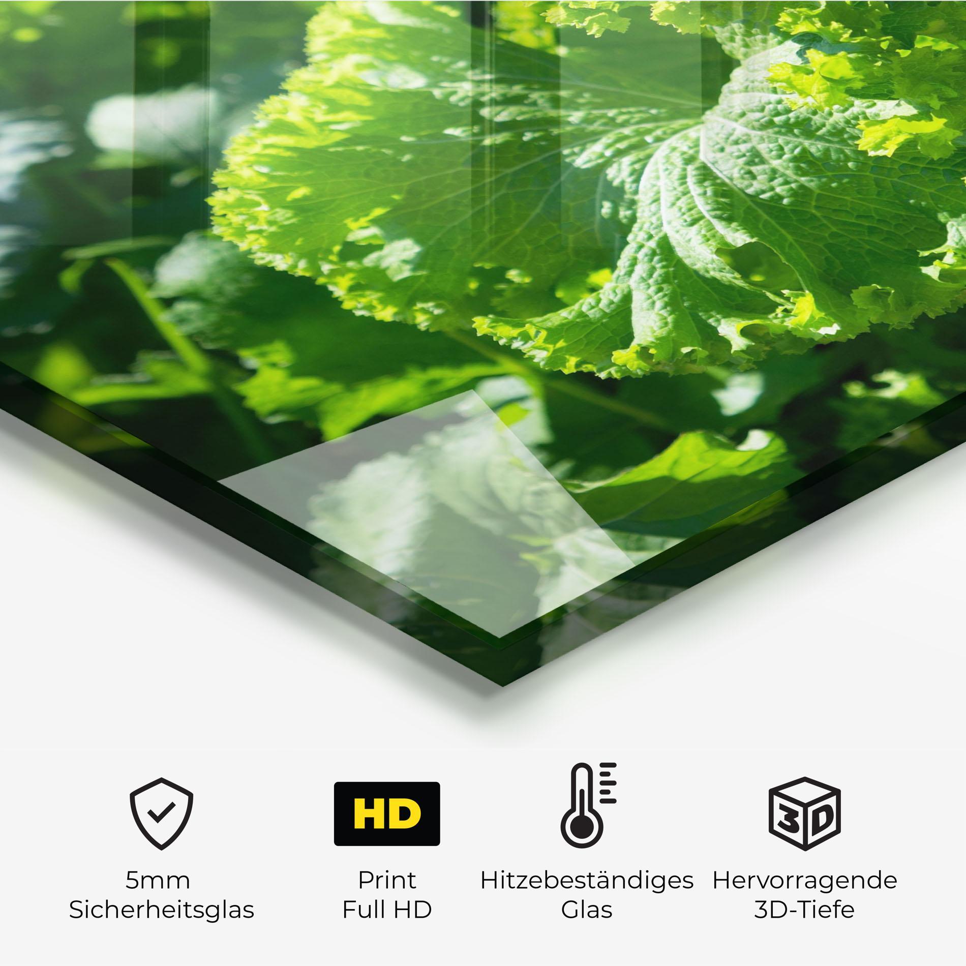 Küchenrückwand Glas Preetty Green Lettuce mockup 2
