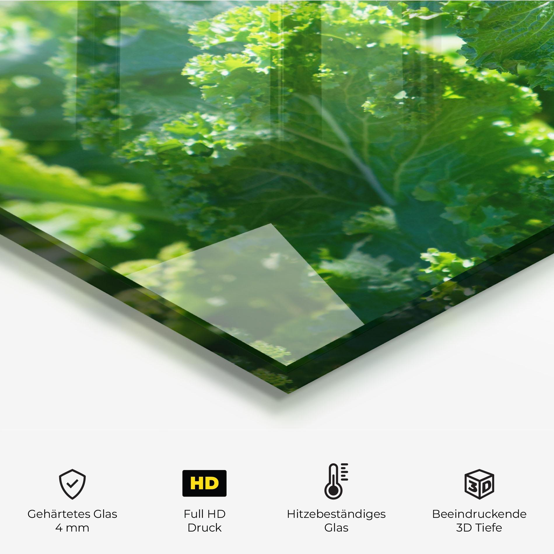 Küchenrückwand Glas Lettuce View mockup 2