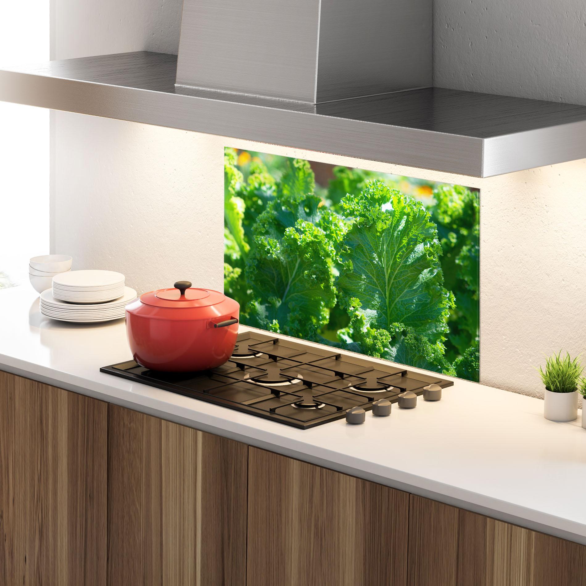 Küchenrückwand Glas Lettuce View mockup 4