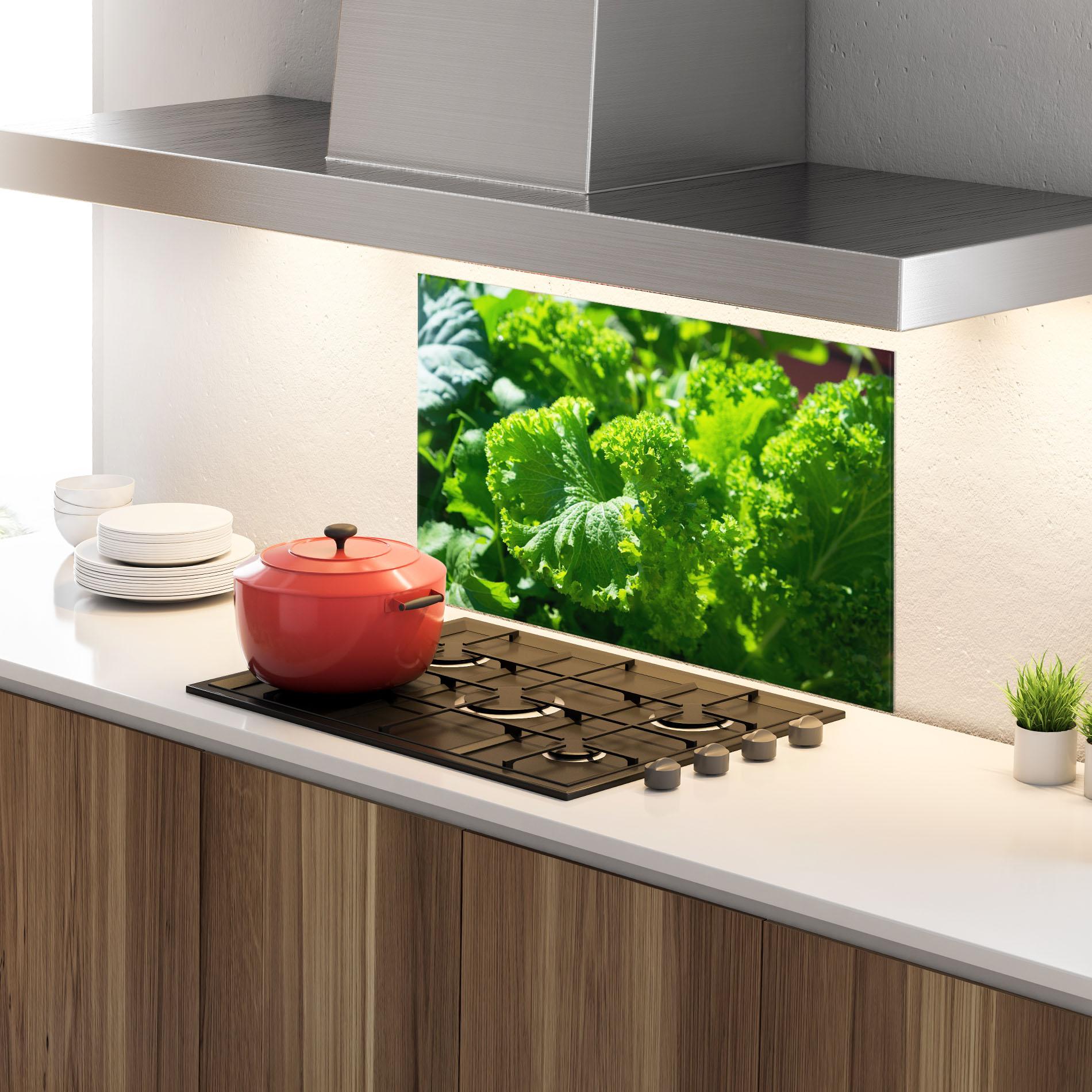 Küchenrückwand Glas Preetty Green Lettuce mockup 4