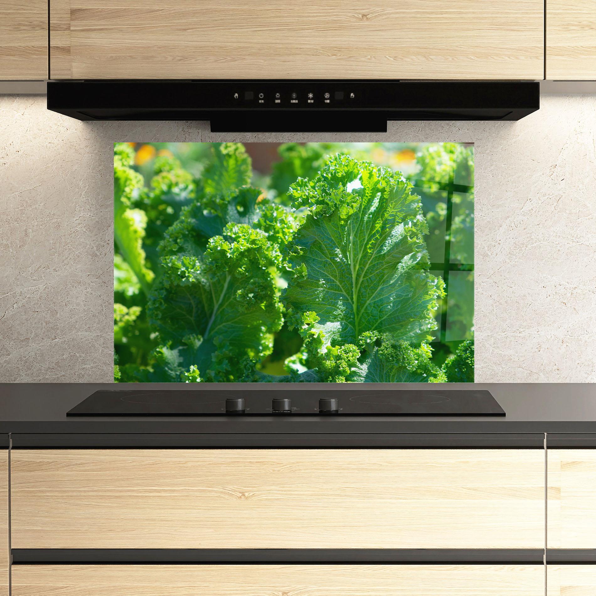 Küchenrückwand Glas Lettuce View mockup 3