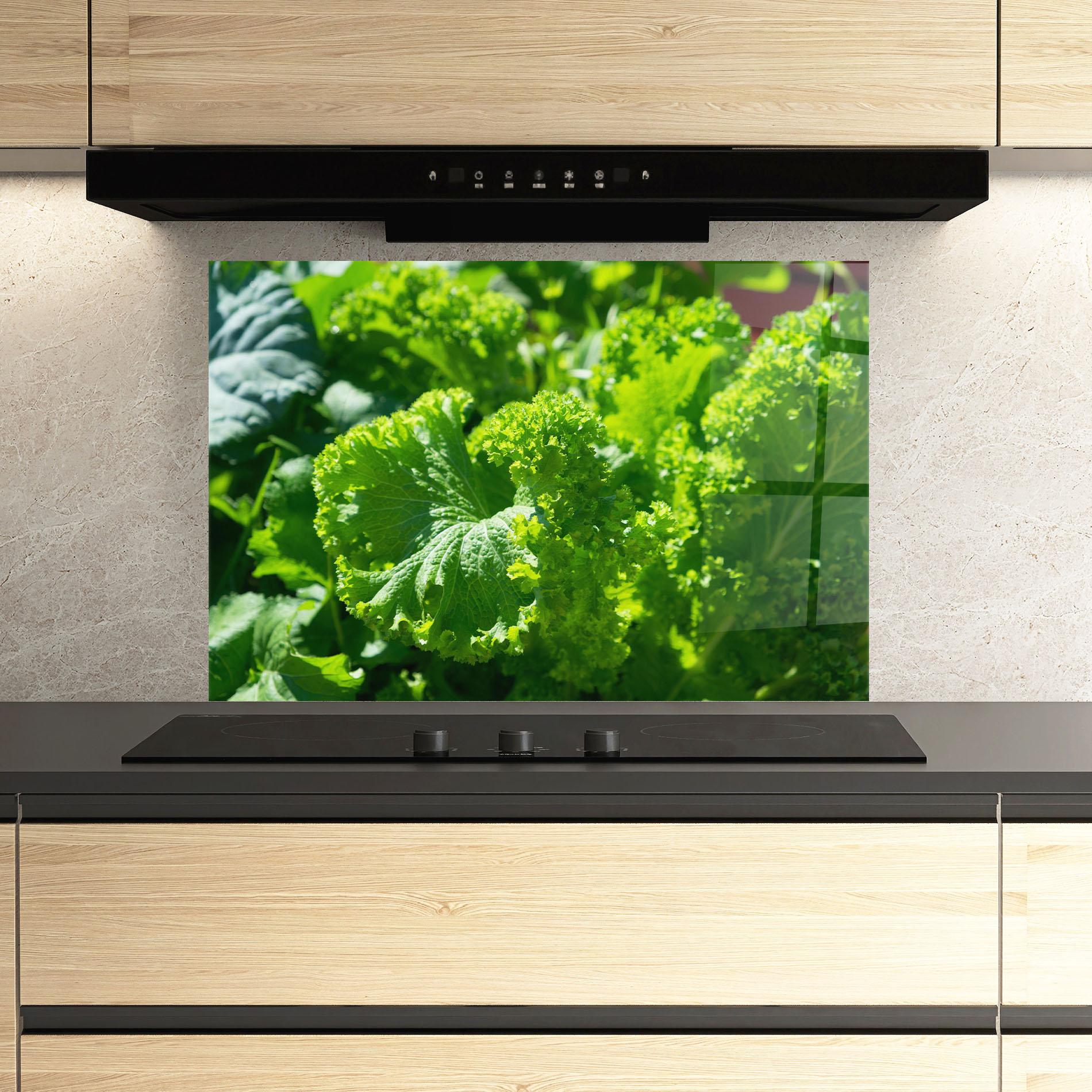 Küchenrückwand Glas Preetty Green Lettuce mockup 3