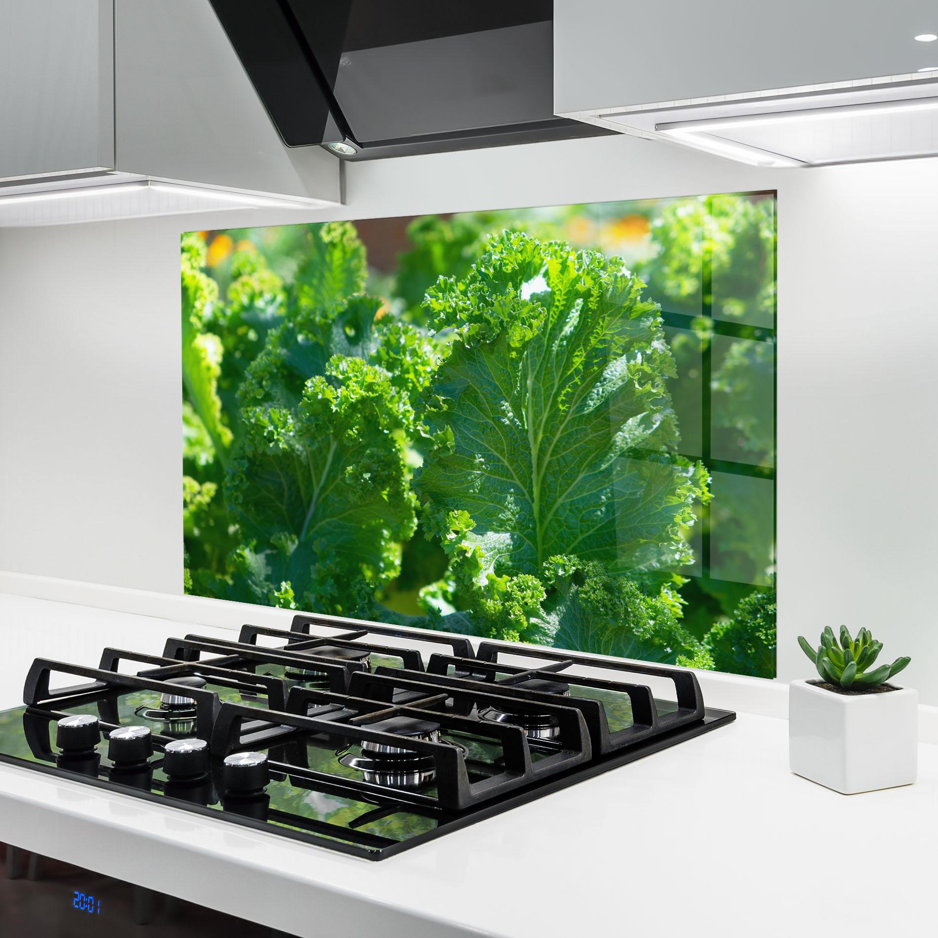 Küchenrückwand Glas Lettuce View mockup 6