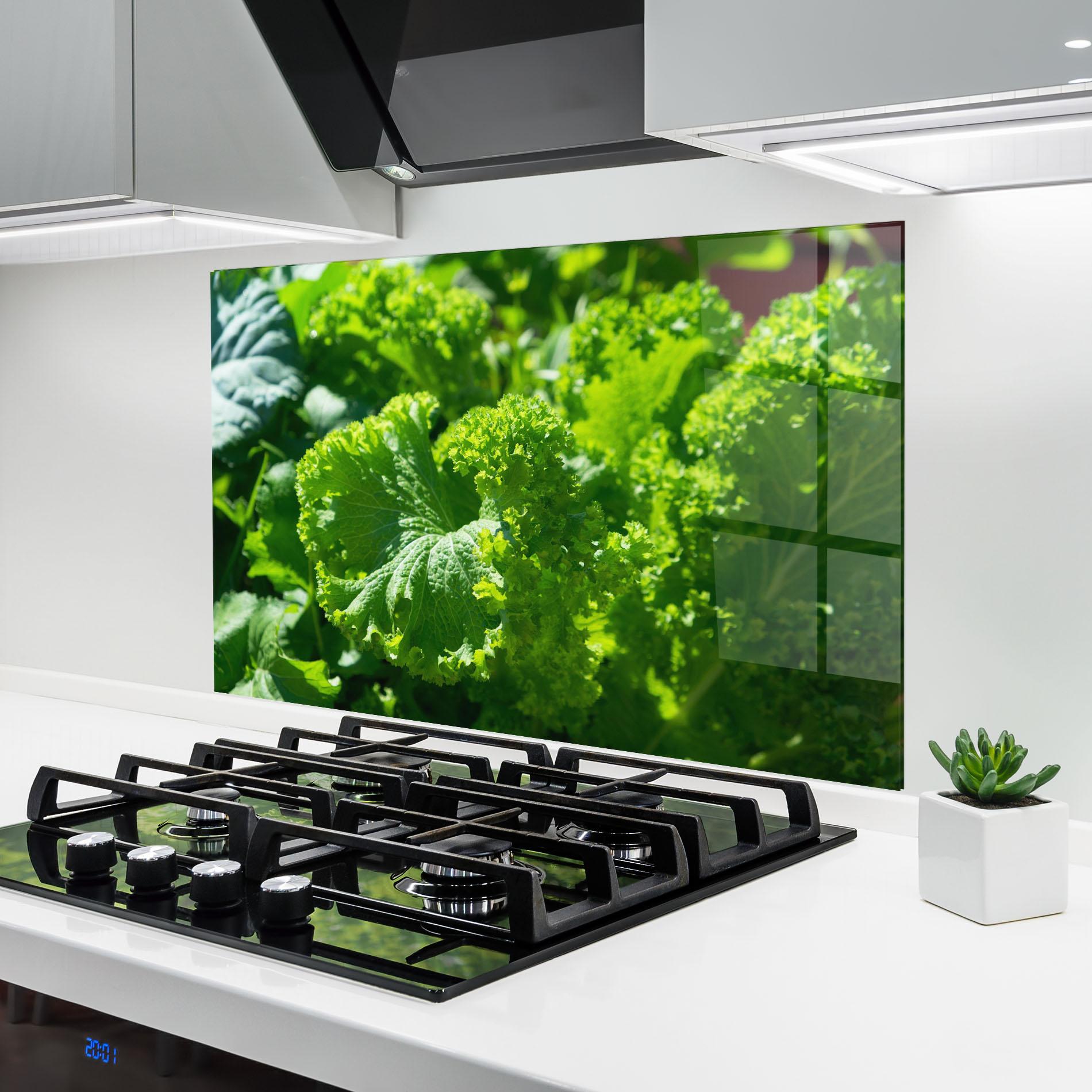 Küchenrückwand Glas Preetty Green Lettuce mockup 6