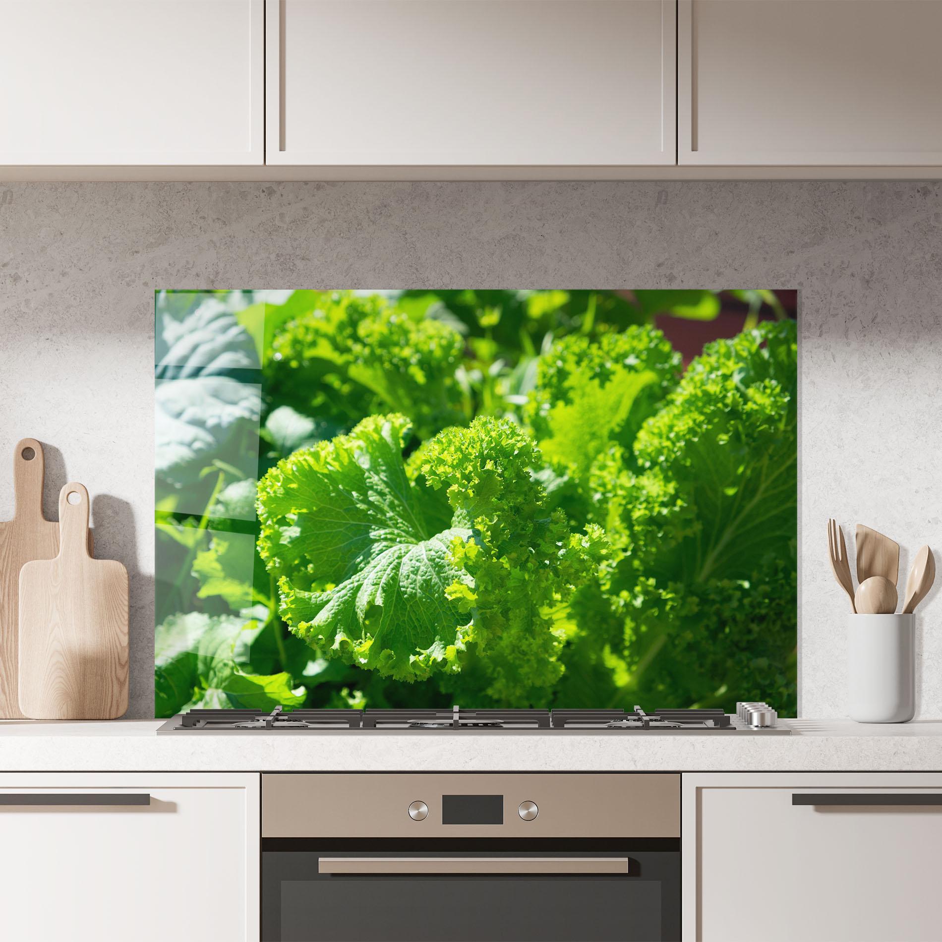 Küchenrückwand Glas Preetty Green Lettuce mockup 7