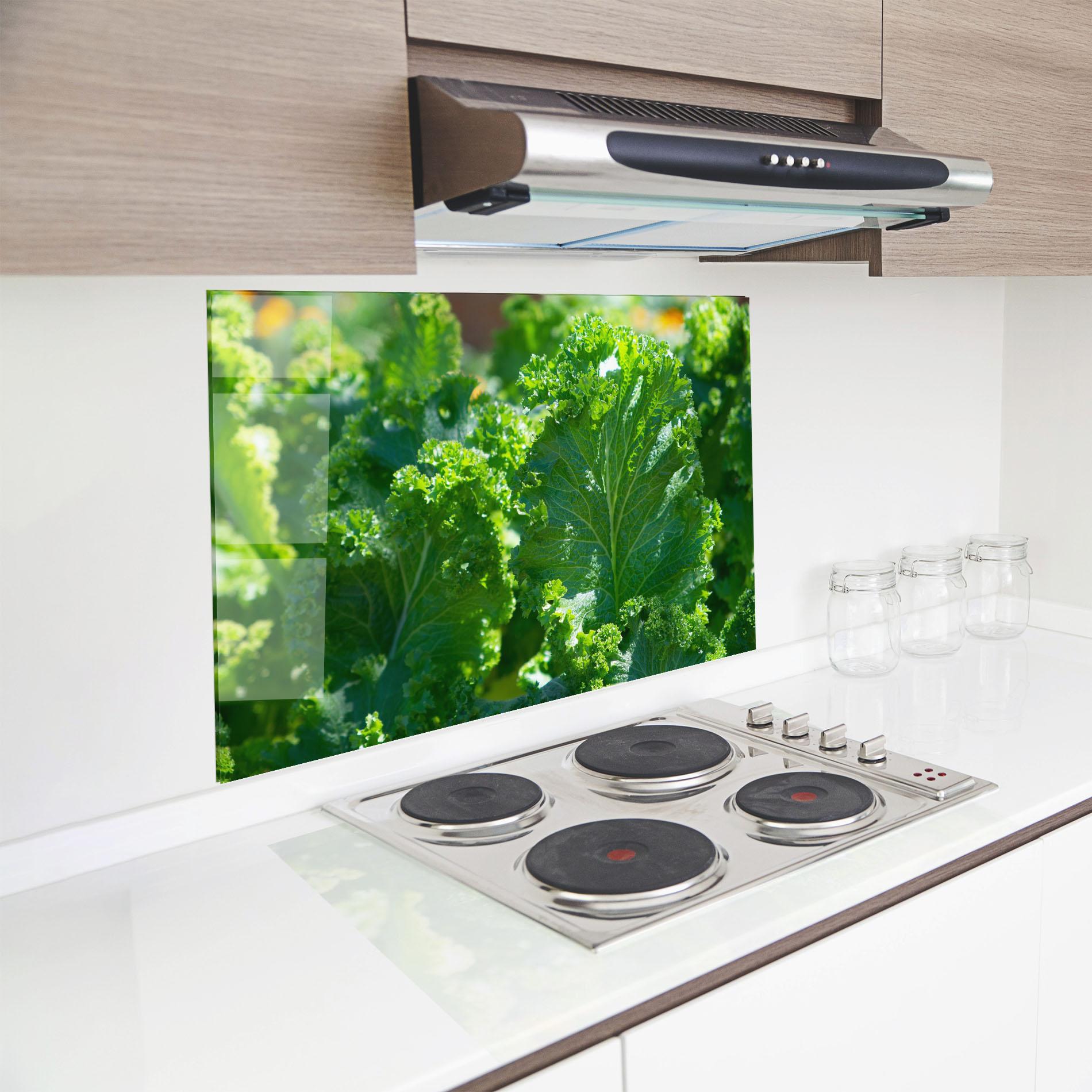 Küchenrückwand Glas Lettuce View mockup 8
