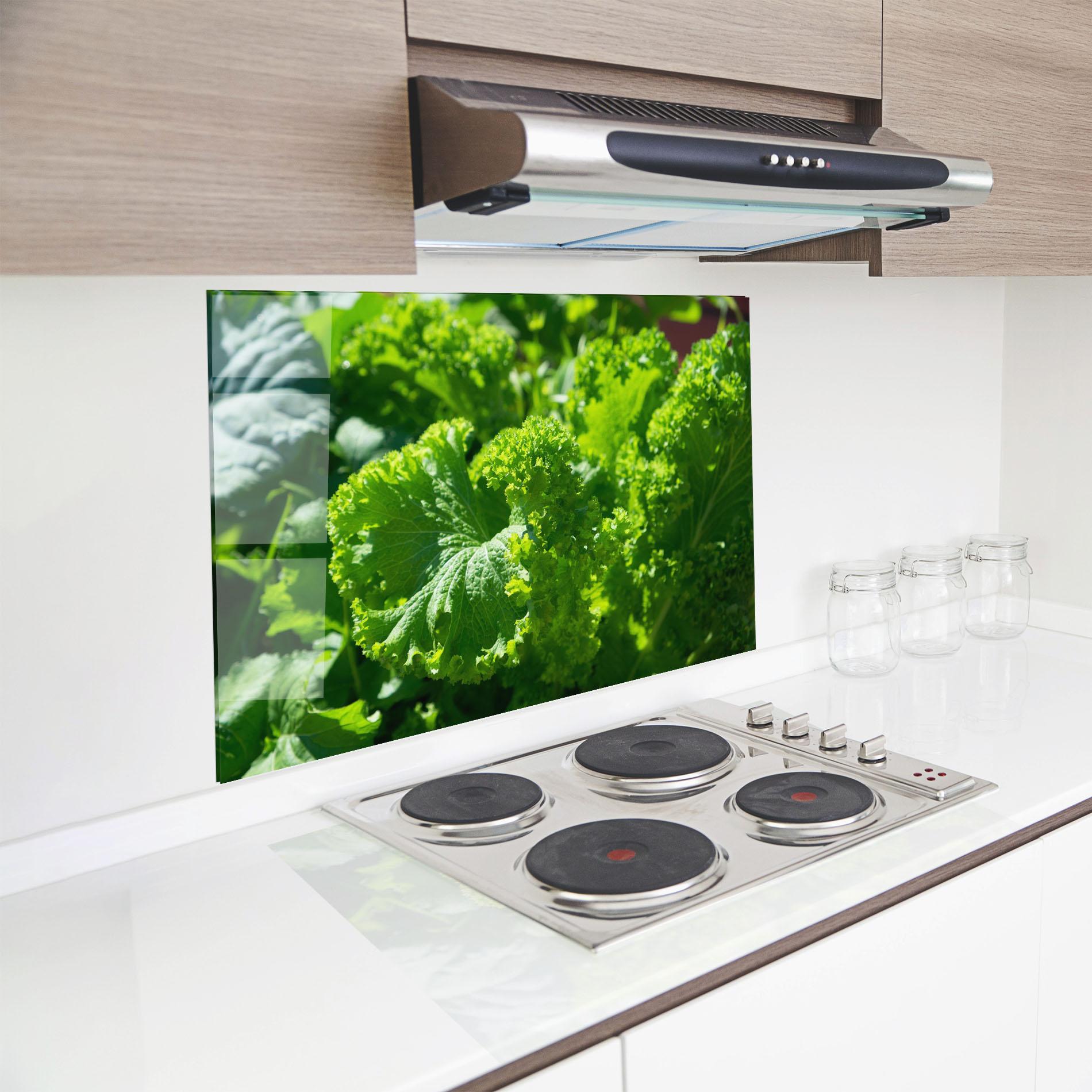 Küchenrückwand Glas Preetty Green Lettuce mockup 8