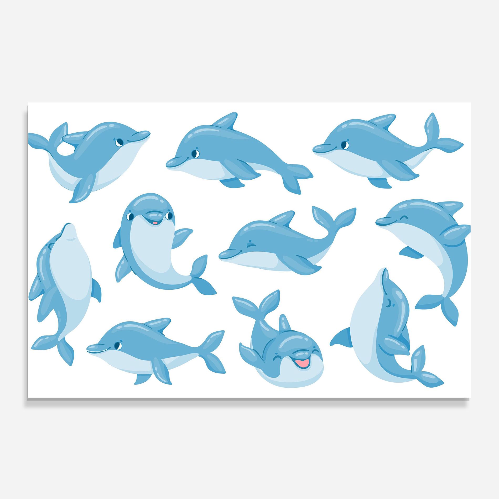Dolphin mockup 0