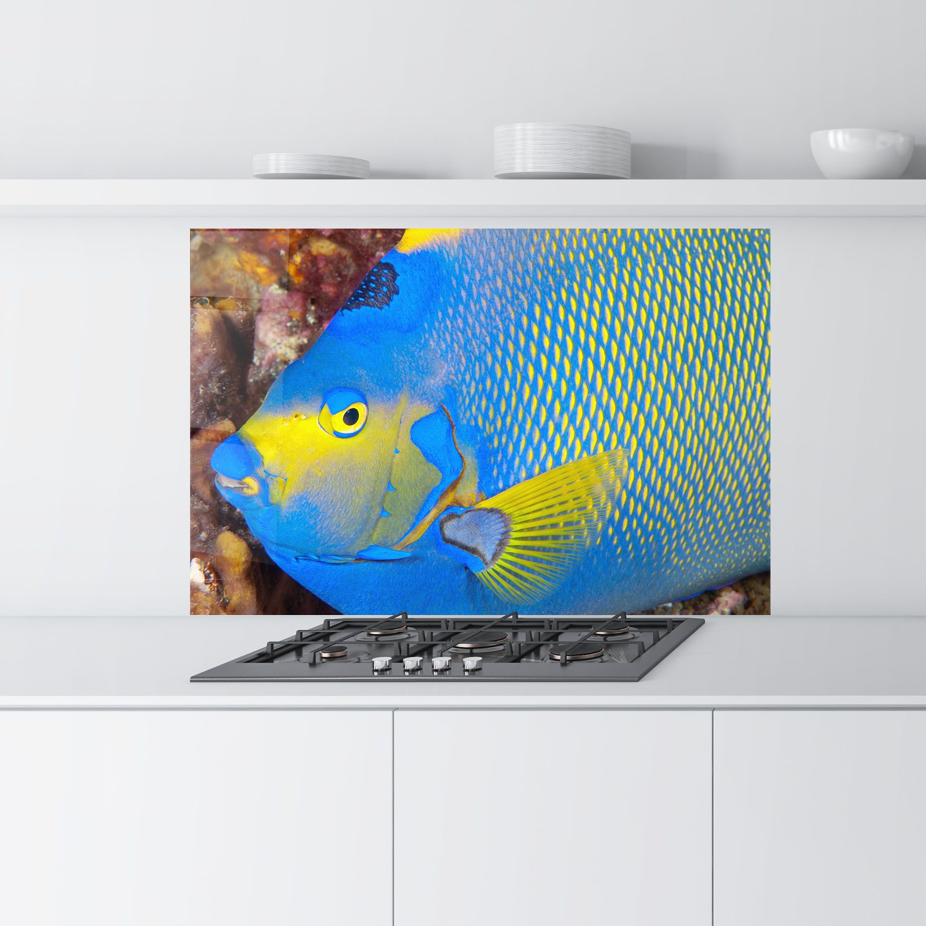 Blue Yellow Fish mockup 9