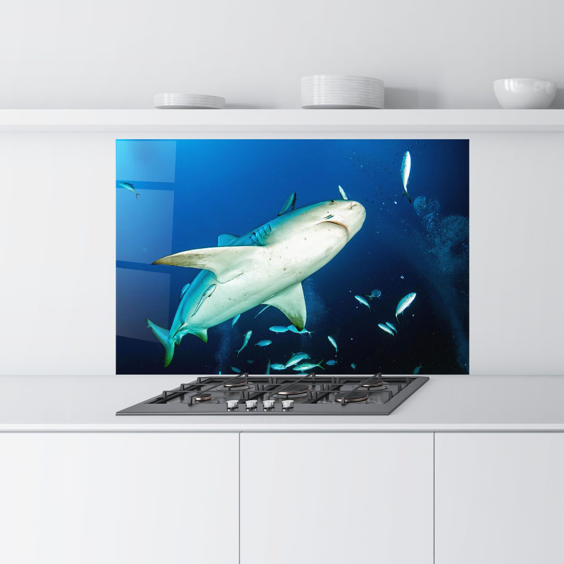 Bull Shark mockup 9