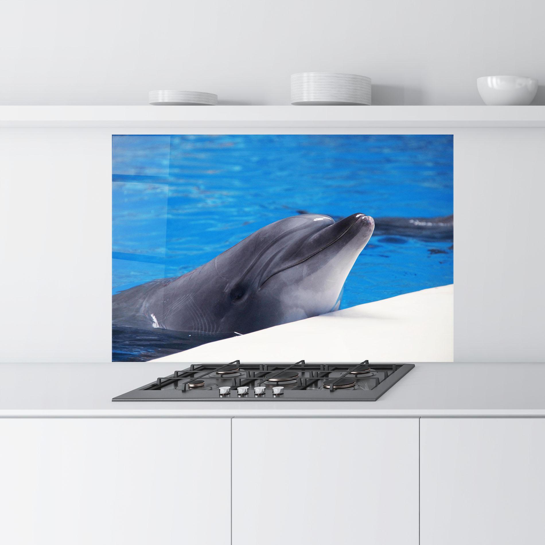 Küchenrückwand Glas Cute Dolphin mockup 9