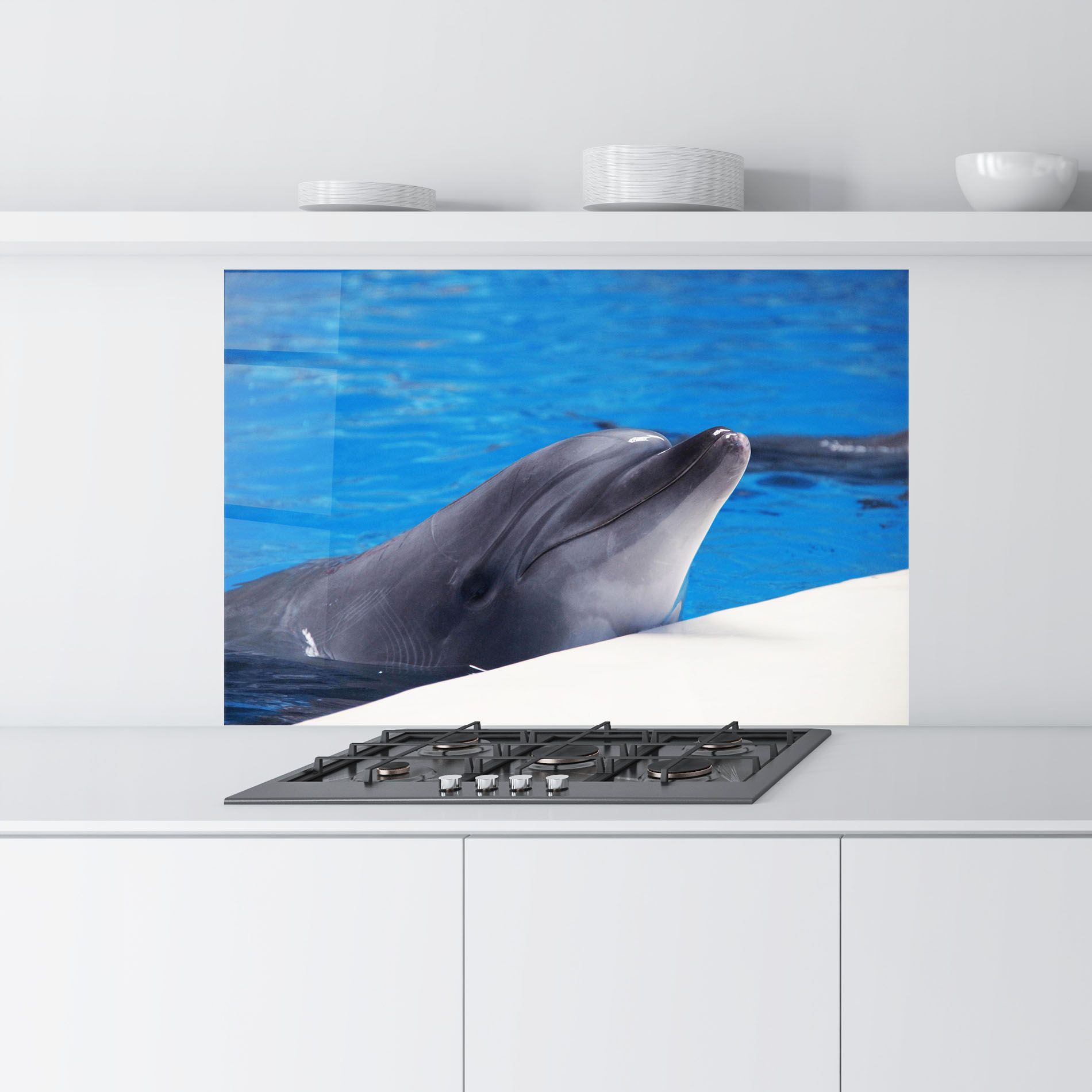 Cute Dolphin mockup 9