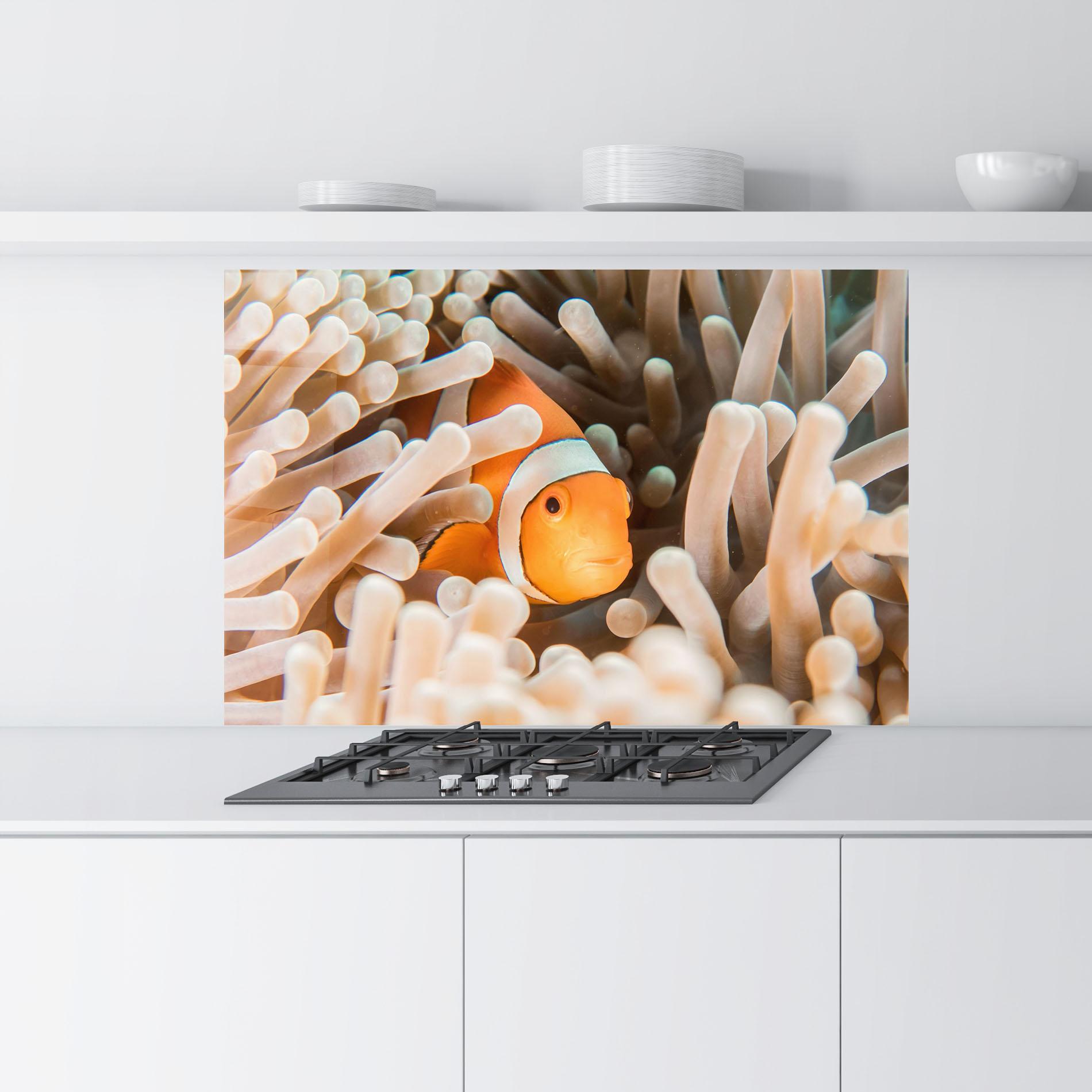 Küchenrückwand Glas Cute Nemo mockup 9